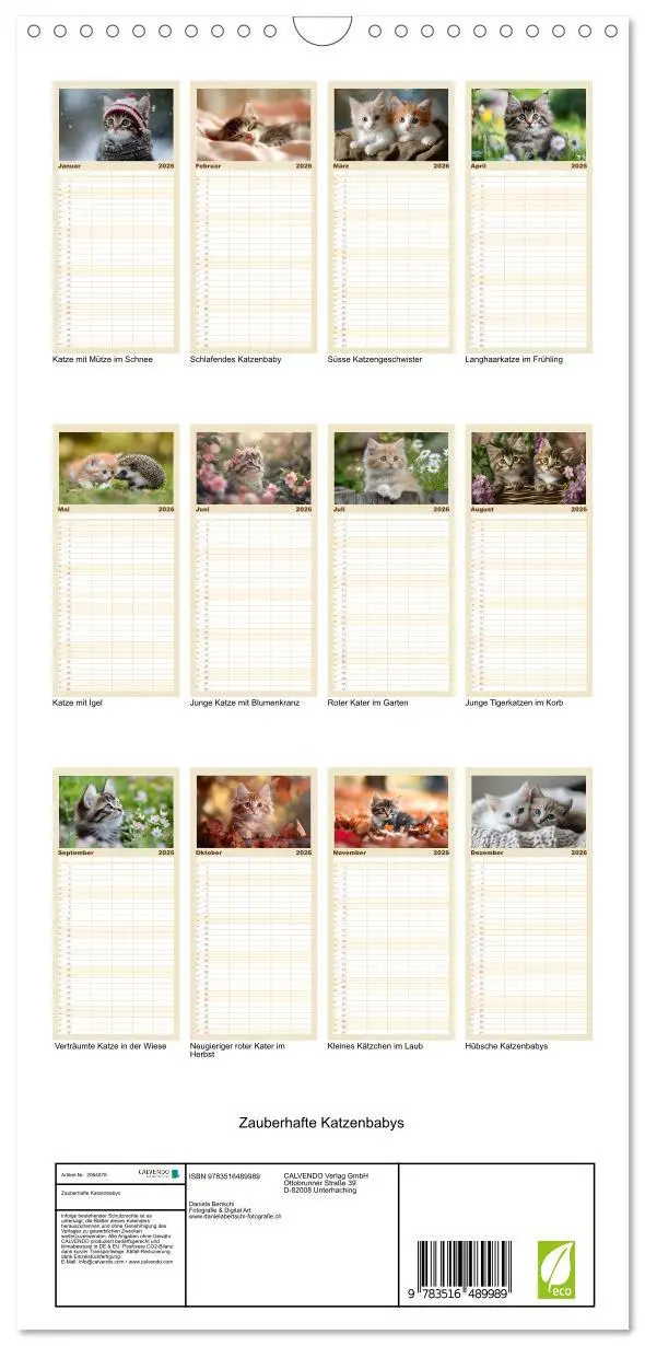 Bild: 9783516489989 | Familienplaner 2026 - Zauberhafte Katzenbabys mit 5 Spalten...
