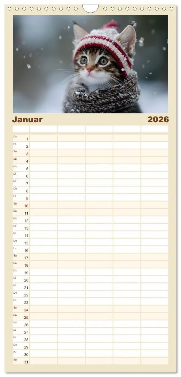 Bild: 9783516489989 | Familienplaner 2026 - Zauberhafte Katzenbabys mit 5 Spalten...