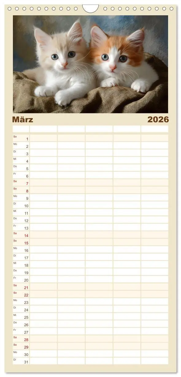 Bild: 9783516489989 | Familienplaner 2026 - Zauberhafte Katzenbabys mit 5 Spalten...