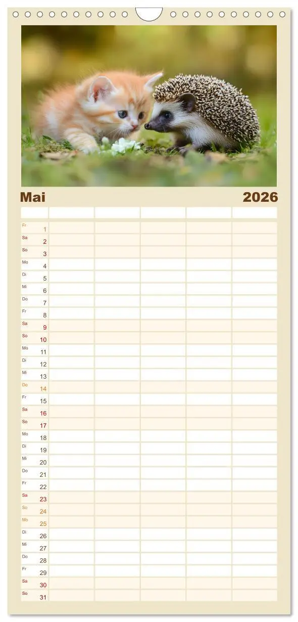 Bild: 9783516489989 | Familienplaner 2026 - Zauberhafte Katzenbabys mit 5 Spalten...