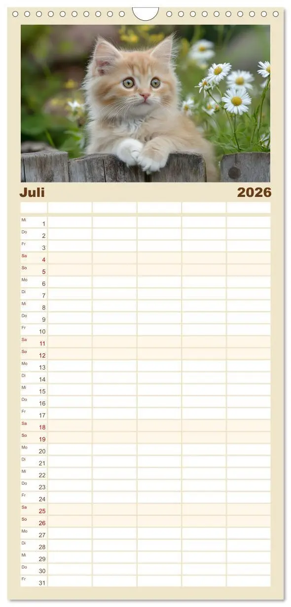 Bild: 9783516489989 | Familienplaner 2026 - Zauberhafte Katzenbabys mit 5 Spalten...