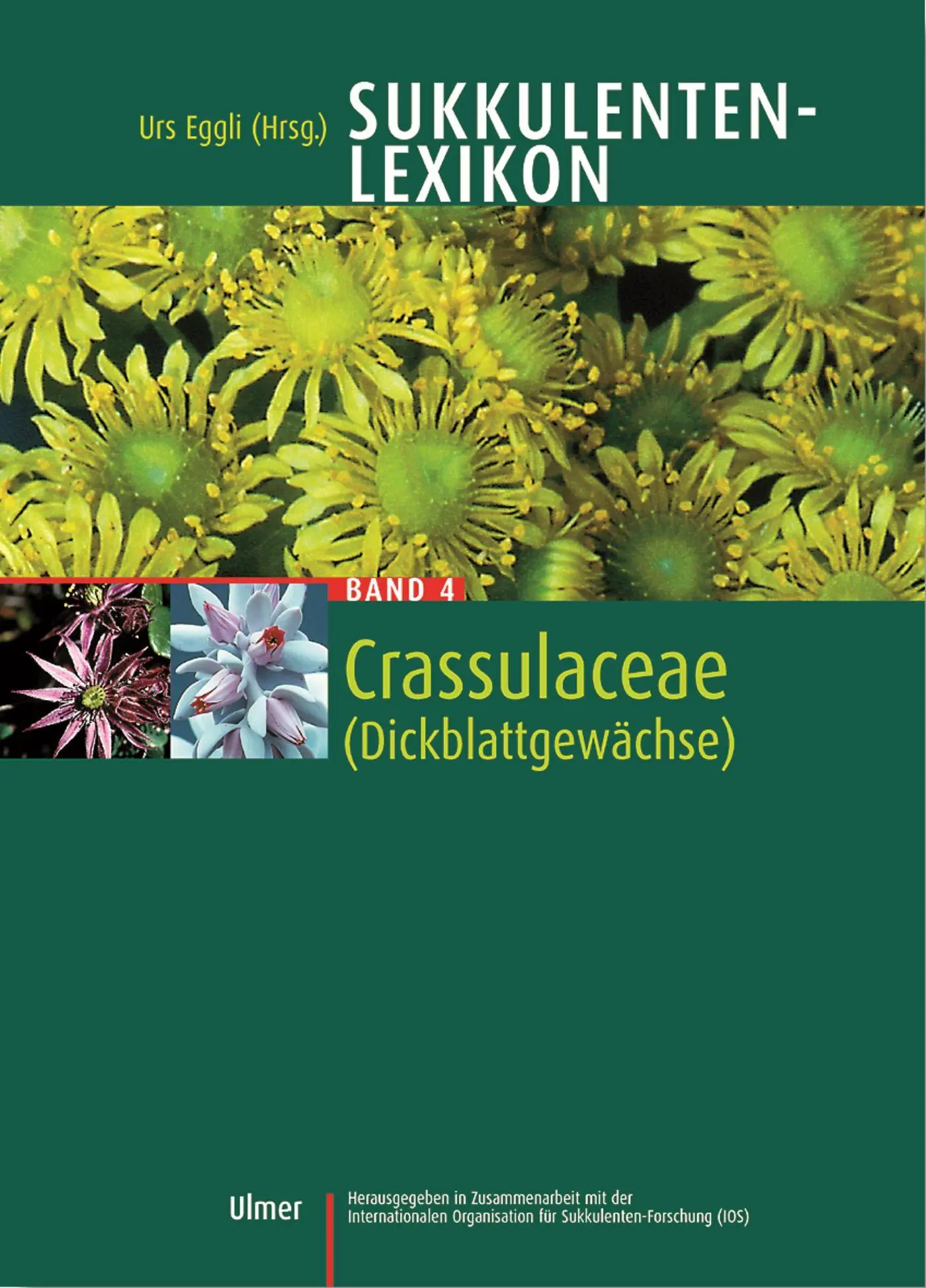 Cover: 9783800139989 | Sukkulentenlexikon 4 | Crassulaceae | Urs Eggli | Buch | 536 S. | 2003