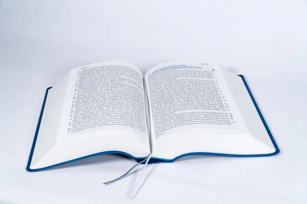 Bild: 9783417020090 | Elberfelder Bibel in großer Schrift, Kunstleder | Taschenbuch | 2022