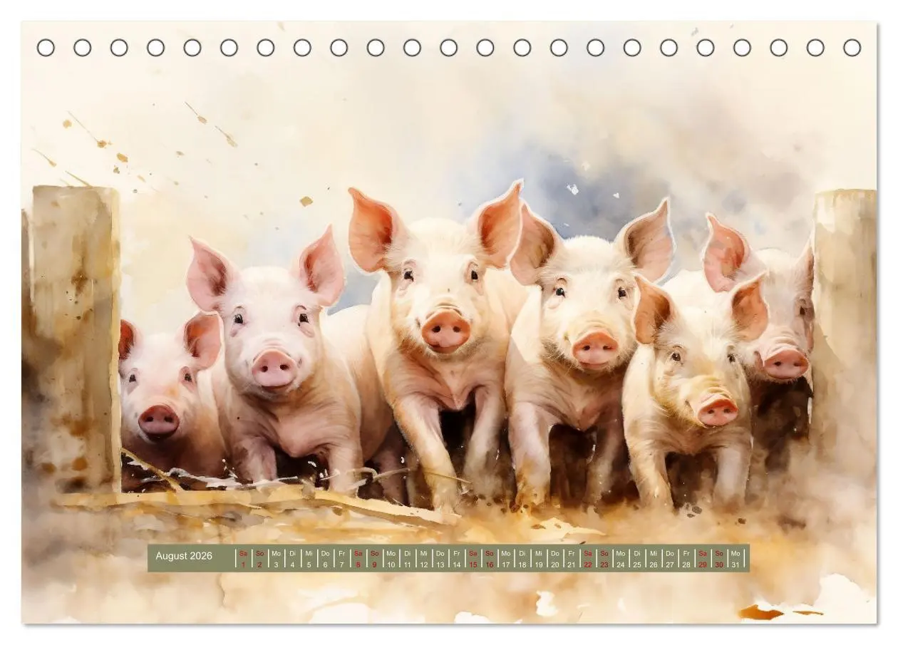 Bild: 9783457480090 | 365 Tage auf dem Land (Tischkalender 2026 DIN A5 quer), CALVENDO...