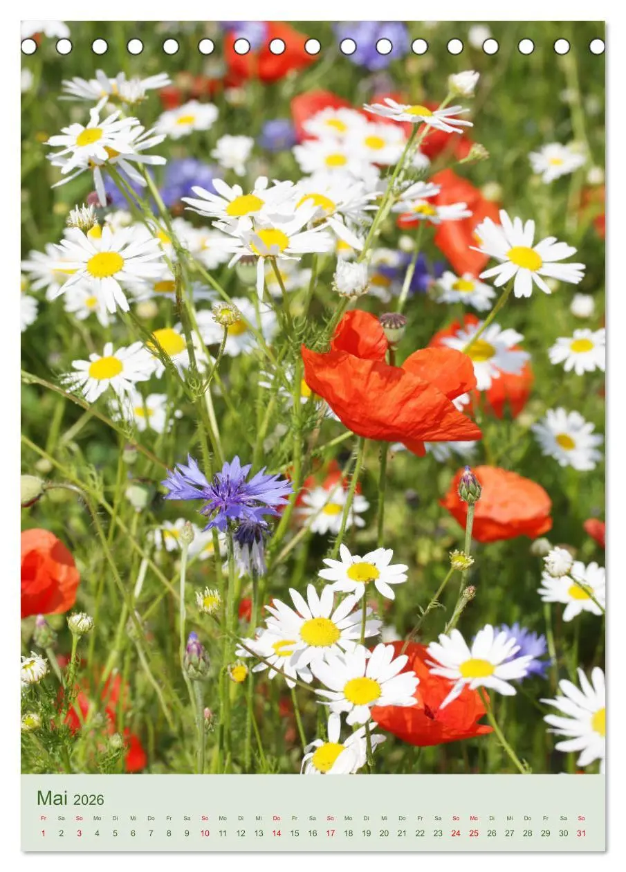 Bild: 9783516400090 | Mohn im Feld (Tischkalender 2026 DIN A5 hoch), CALVENDO Monatskalender
