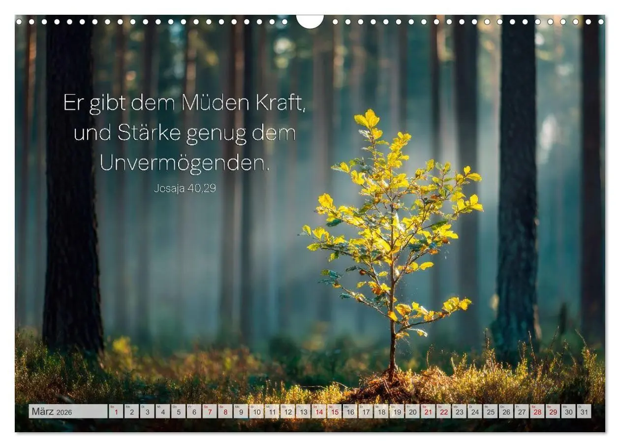 Bild: 9783516710090 | Psalmen und Bibelverse - Himmlische Botschaften (Wandkalender 2026...