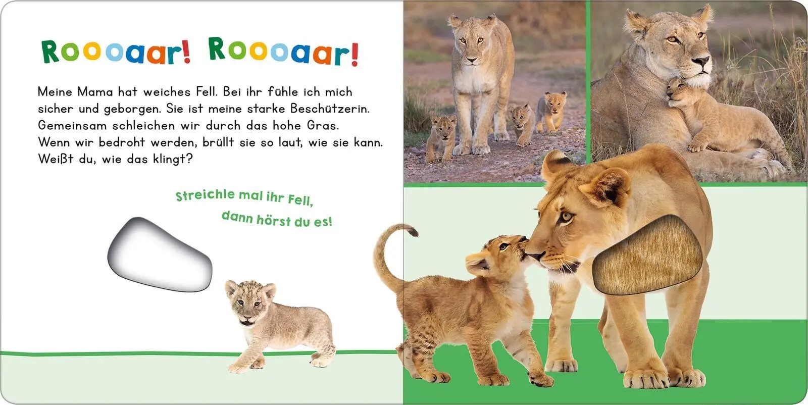 Bild: 9783845870090 | Hör mal rein, wer kann das sein? - Meine Mama | Streicheln und hören