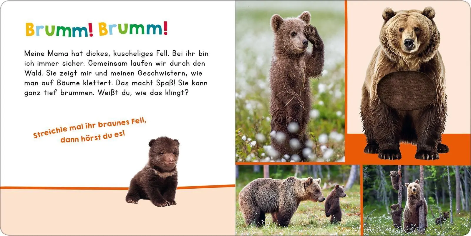 Bild: 9783845870090 | Hör mal rein, wer kann das sein? - Meine Mama | Streicheln und hören