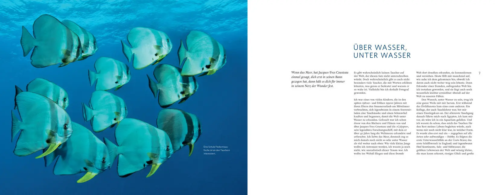 Bild: 9783990550090 | Über Wasser, unter Wasser | Tobias Friedrich | Buch | 136 S. | Deutsch