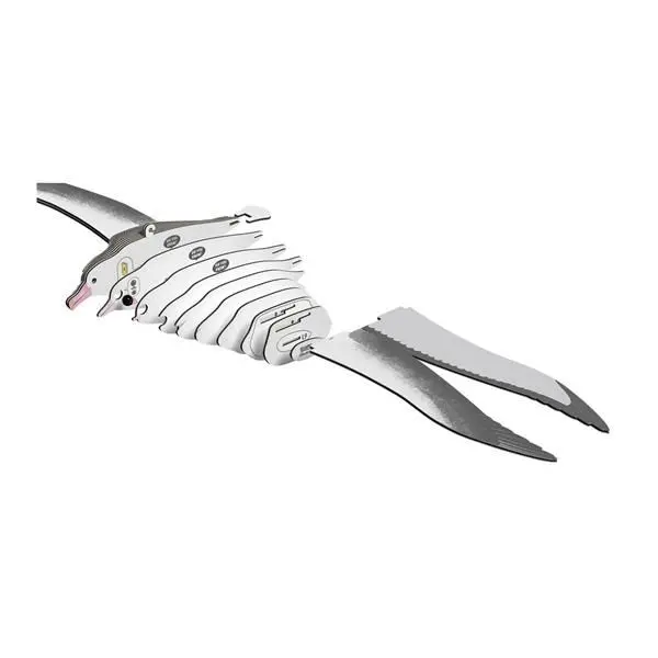 Bild: 9421036940190 | EUGY 3D Bastelset Royal Albatross | Kit (Bastelset) | 650097 | Deutsch