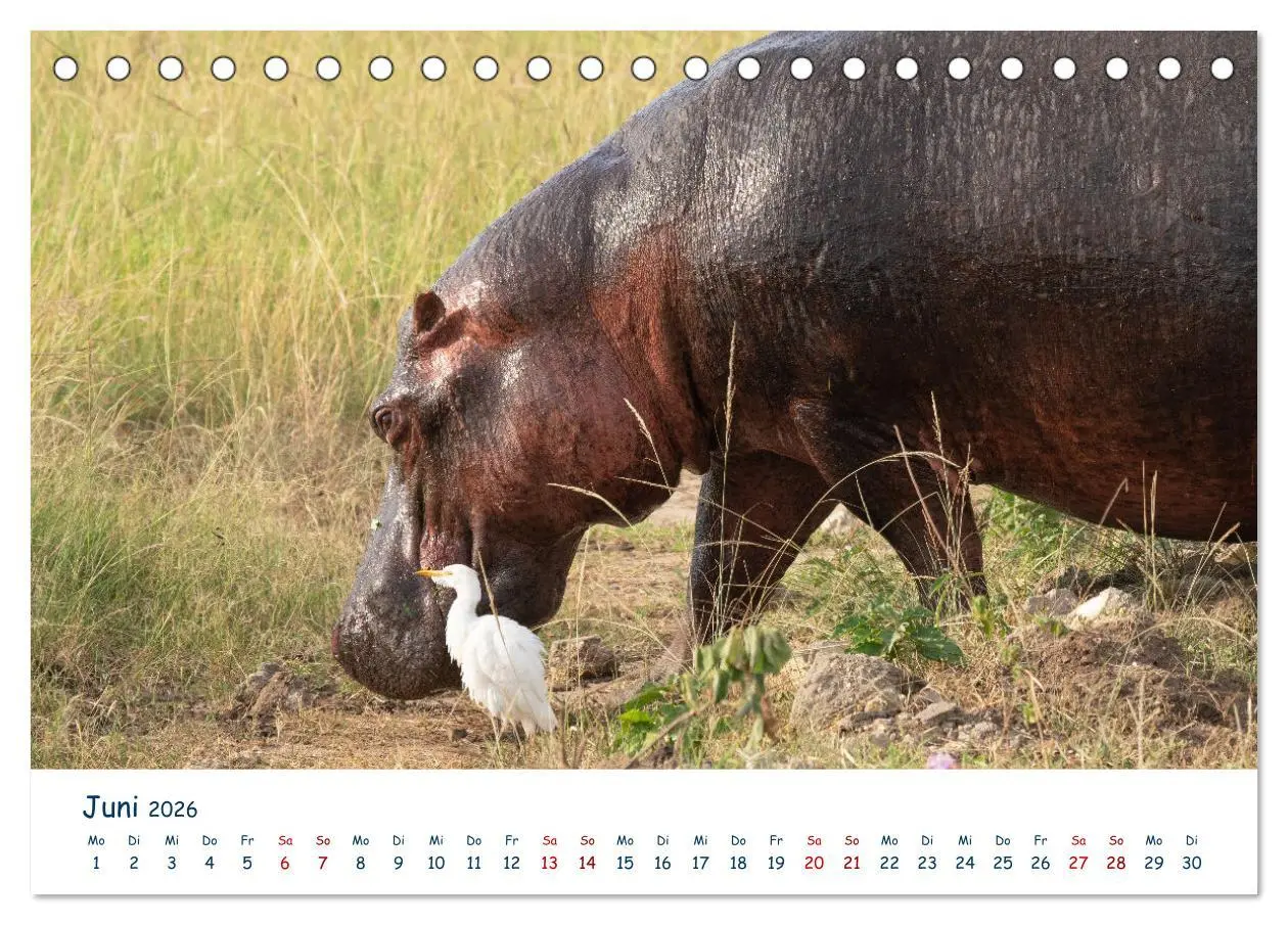 Bild: 9783457610190 | Fernweh Uganda - Naturschönheit Ostafrikas (Tischkalender 2026 DIN...