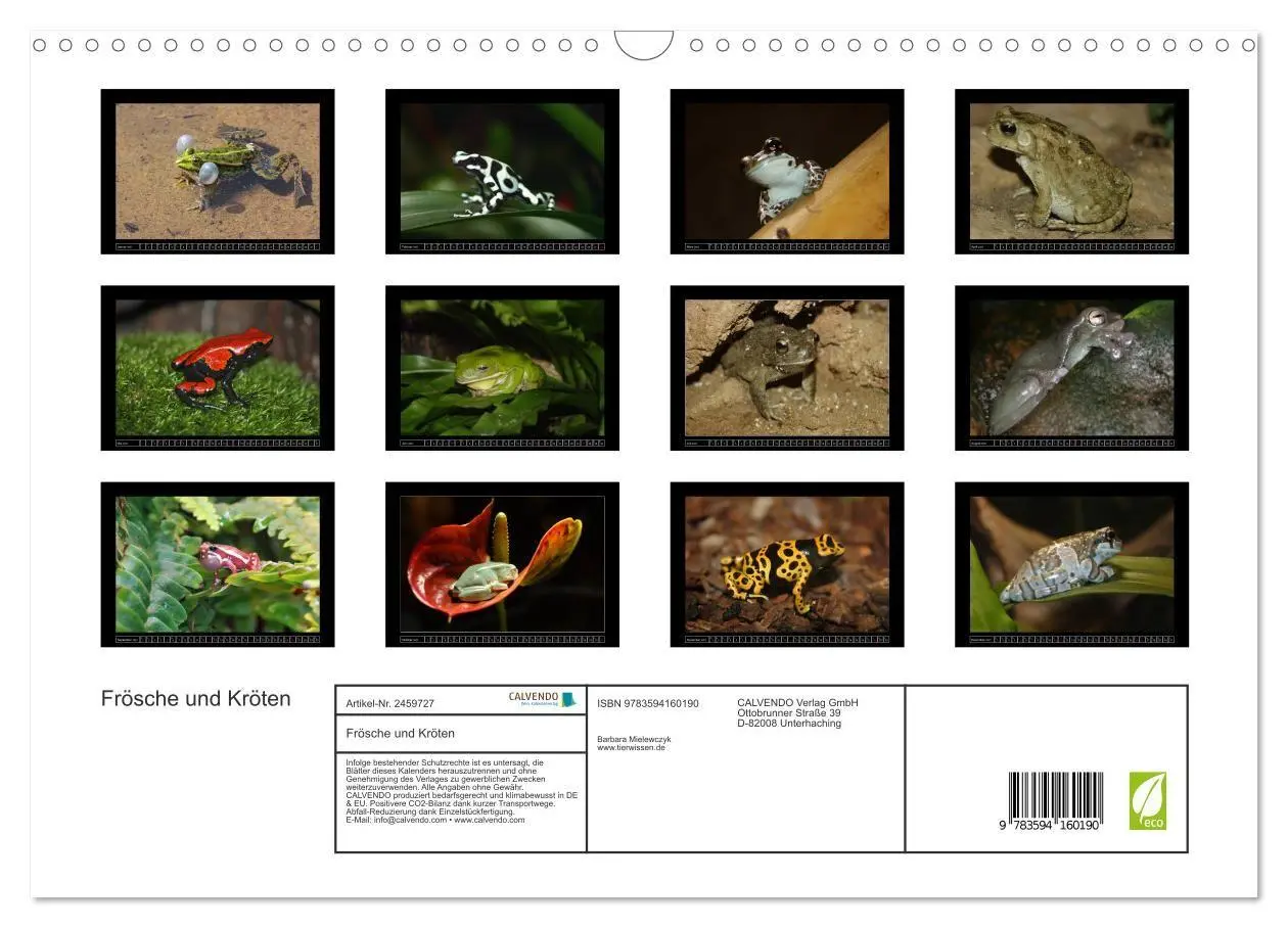 Bild: 9783594160190 | Frösche und Kröten (Wandkalender 2027 DIN A3 quer), CALVENDO...