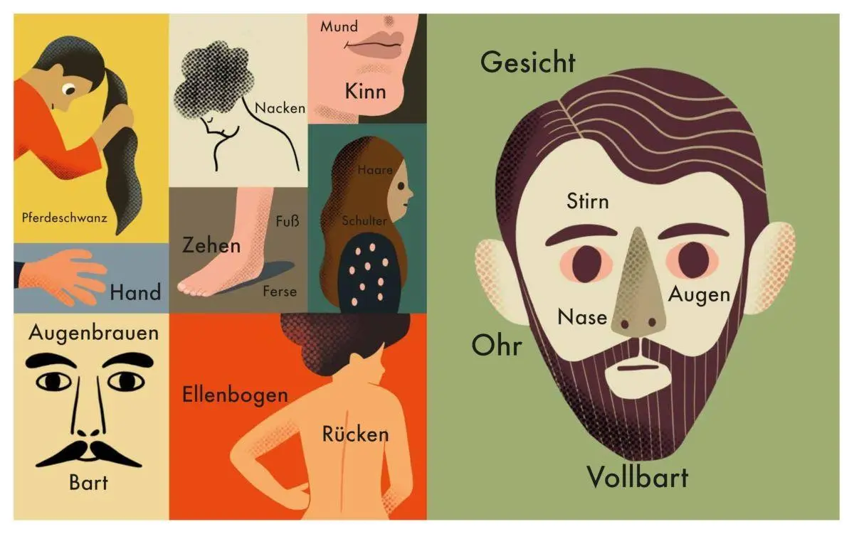 Bild: 9788284620190 | Meine ersten Wörter | Ingela P. Arrhenius | Buch | Deutsch | 2025