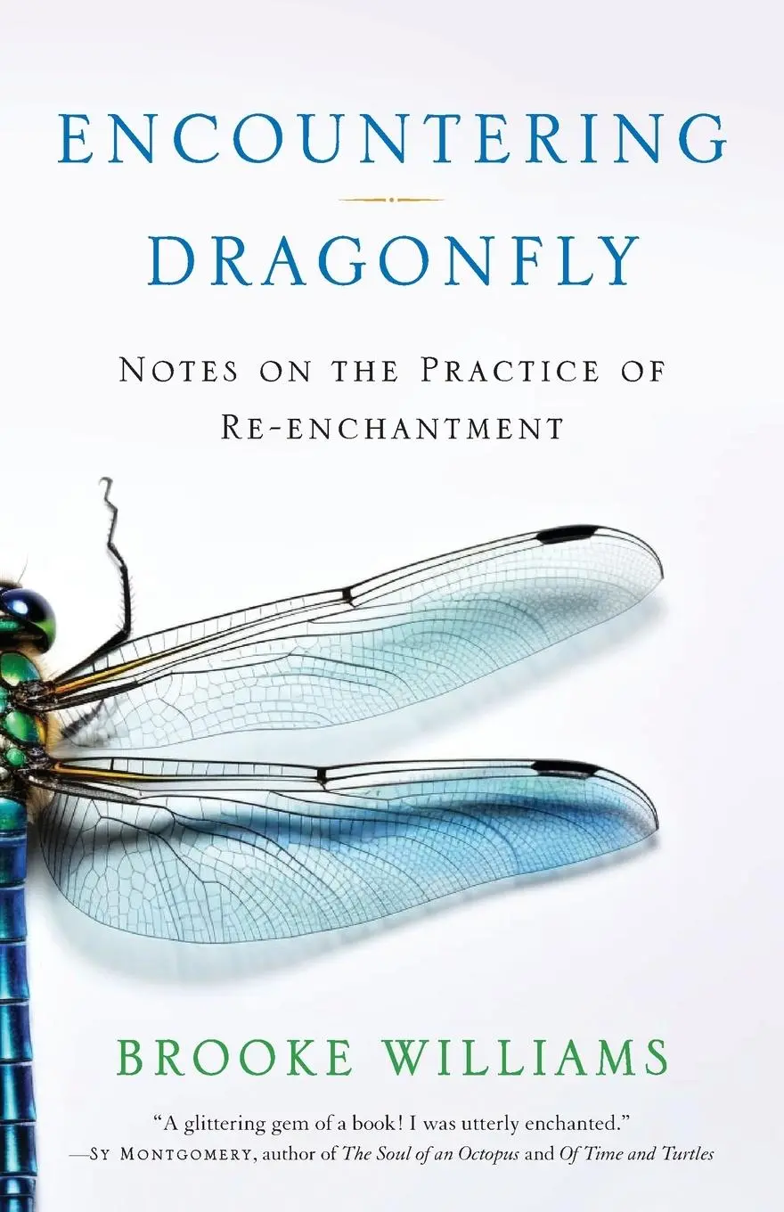 Cover: 9781943370290 | Encountering Dragonfly | Notes on the Practice of Re-enchantment