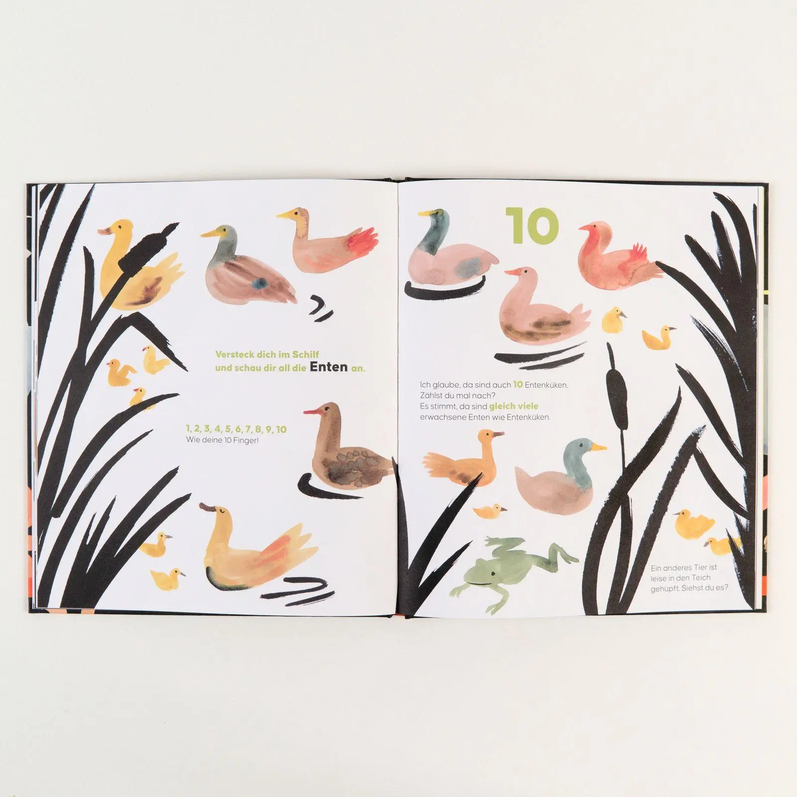 Bild: 9783407720290 | Zähle alle Tiere | Vierfarbiges Bilderbuch | Marguerite Courtieu