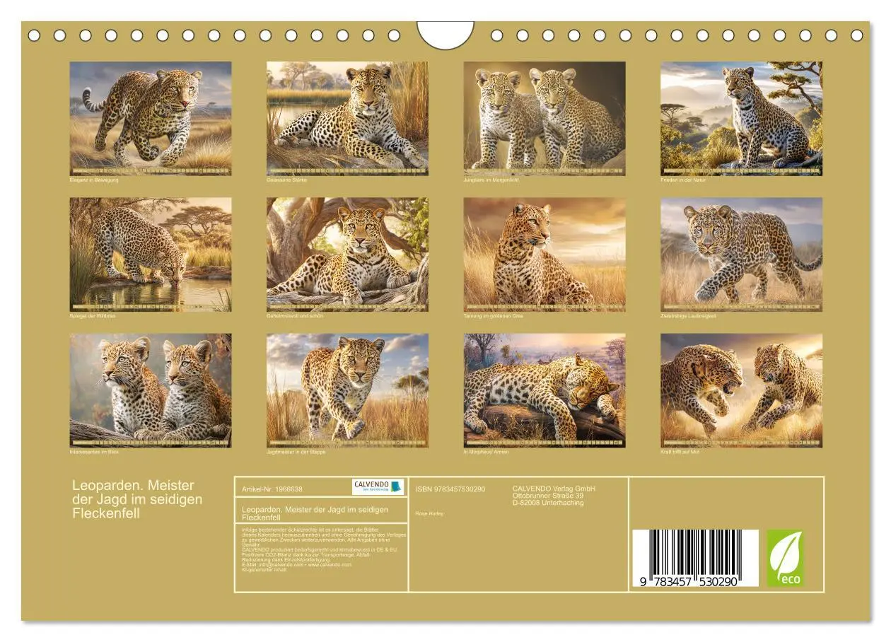 Bild: 9783457530290 | Leoparden. Meister der Jagd im seidigen Fleckenfell (Wandkalender...
