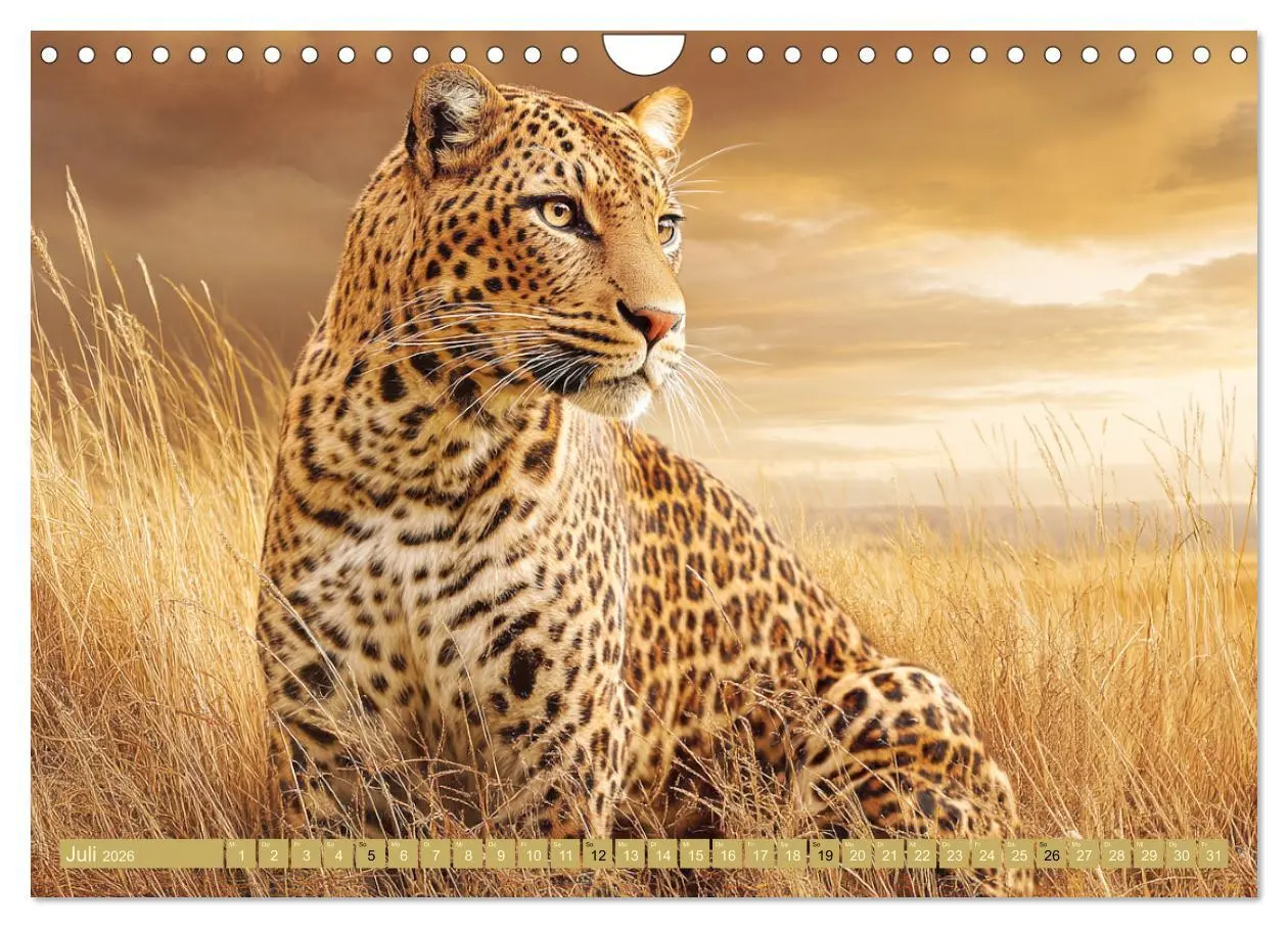 Bild: 9783457530290 | Leoparden. Meister der Jagd im seidigen Fleckenfell (Wandkalender...