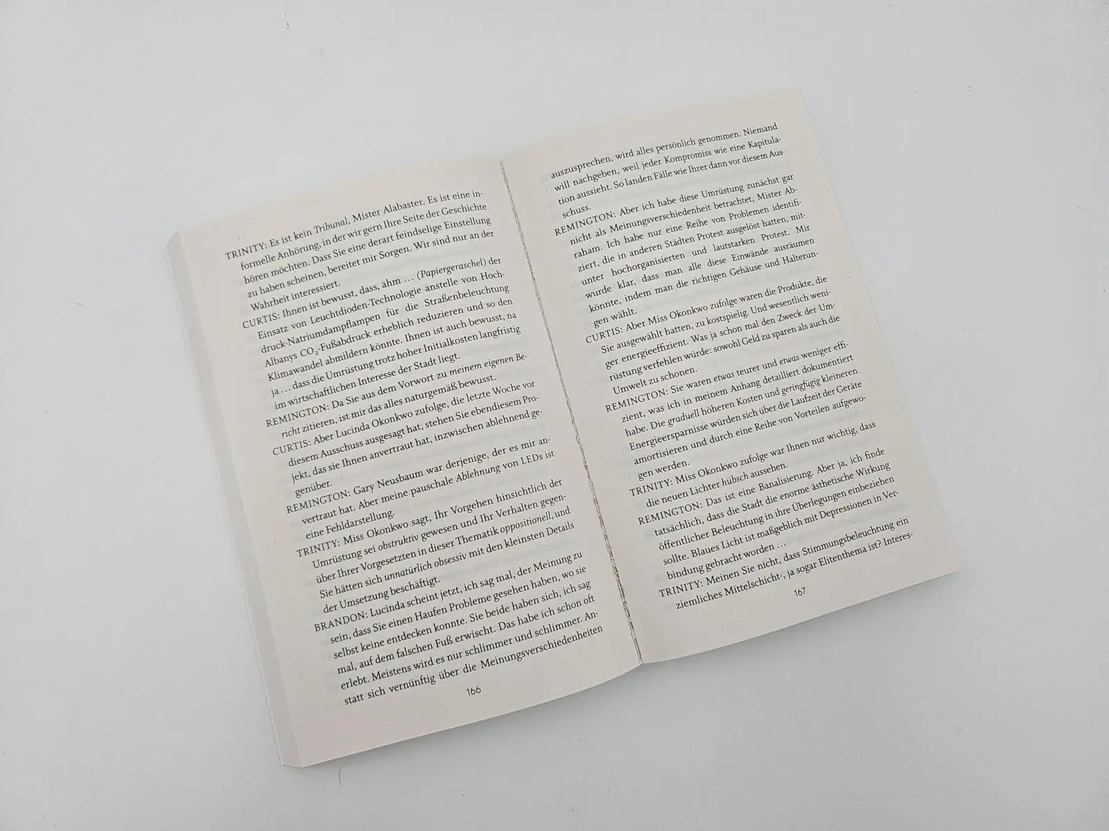Bild: 9783492320290 | Die Letzten werden die Ersten sein | Lionel Shriver | Taschenbuch