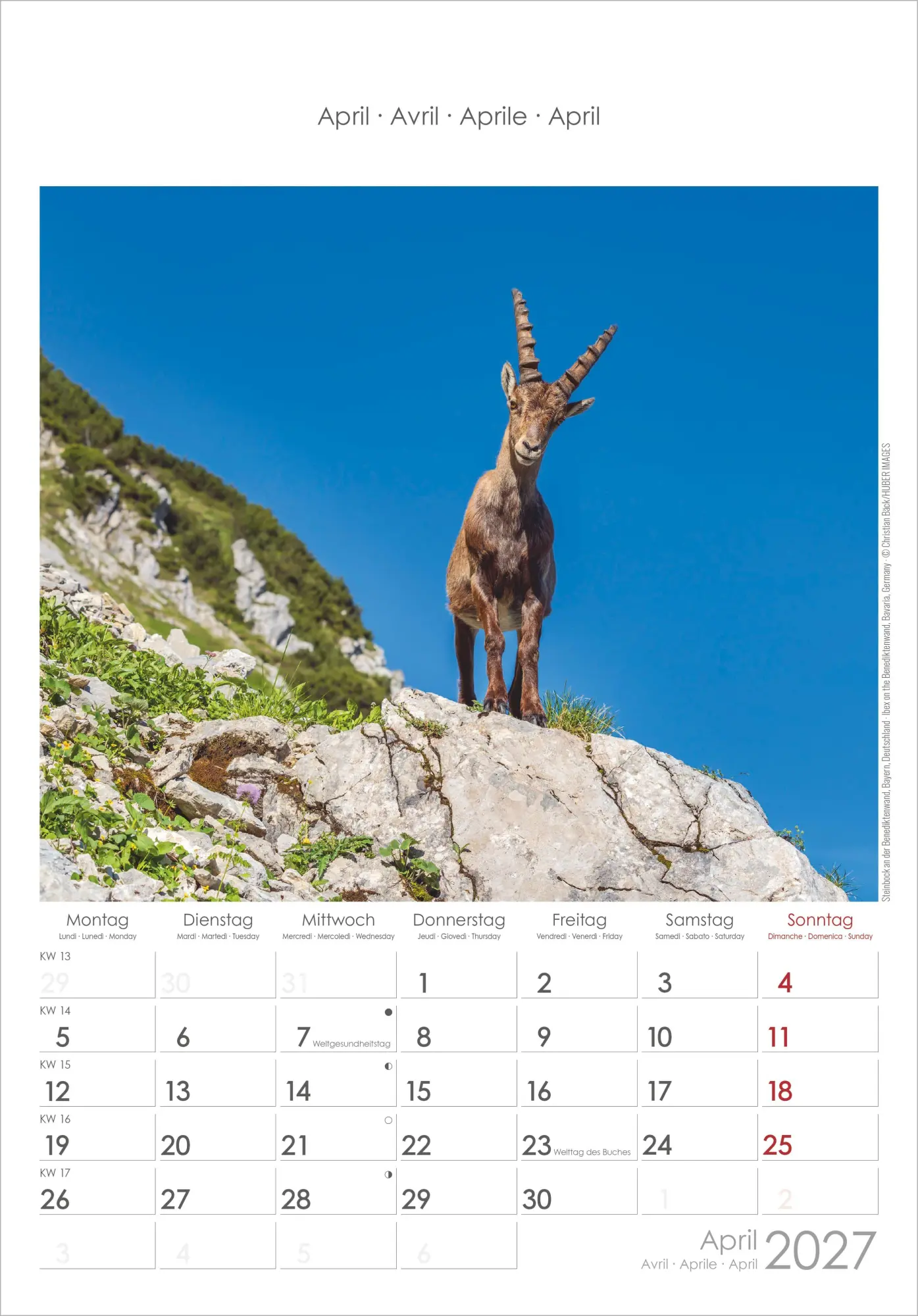 Bild: 4069095010390 | Alpen 2027 | Neumann Verlage GmbH &amp; Co KG | Kalender | Spiralbindung