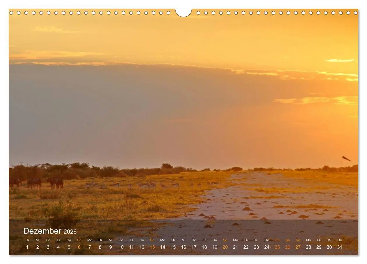 Bild: 9783516160390 | Botswana Wildlife (Wandkalender 2026 DIN A3 quer), CALVENDO...