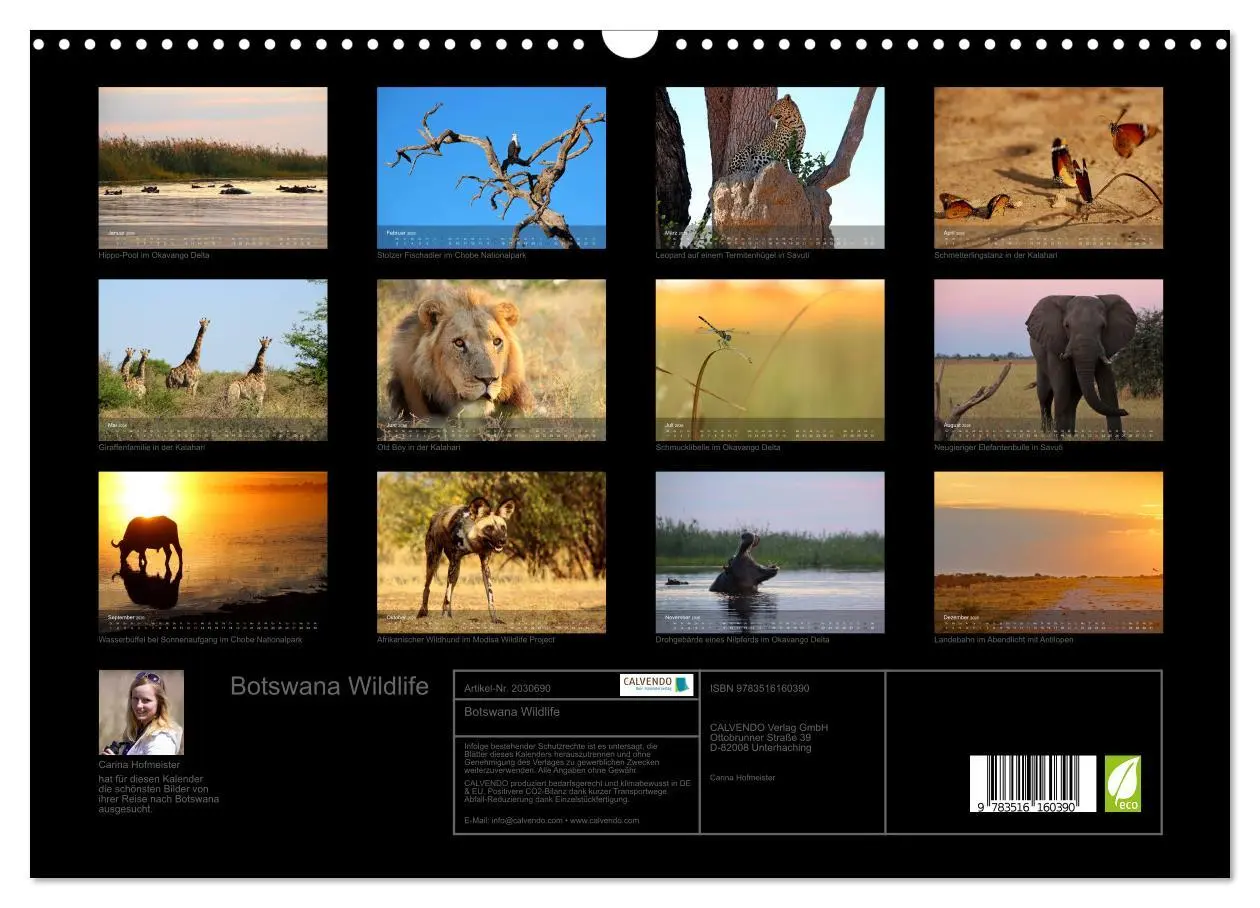 Bild: 9783516160390 | Botswana Wildlife (Wandkalender 2026 DIN A3 quer), CALVENDO...