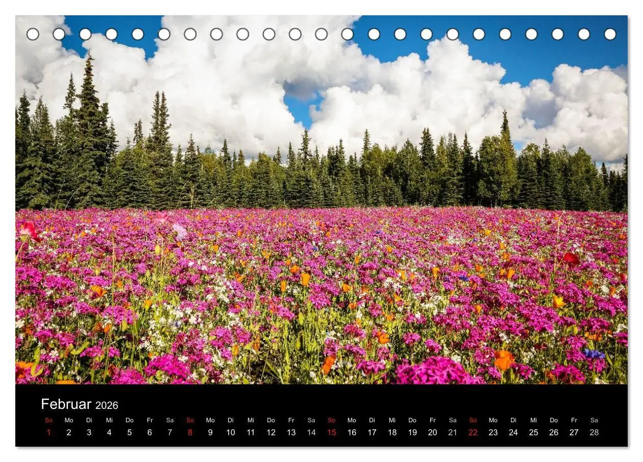 Bild: 9783516080490 | Alaska 2026 Wildes Land am Ende der Welt (Tischkalender 2026 DIN A5...
