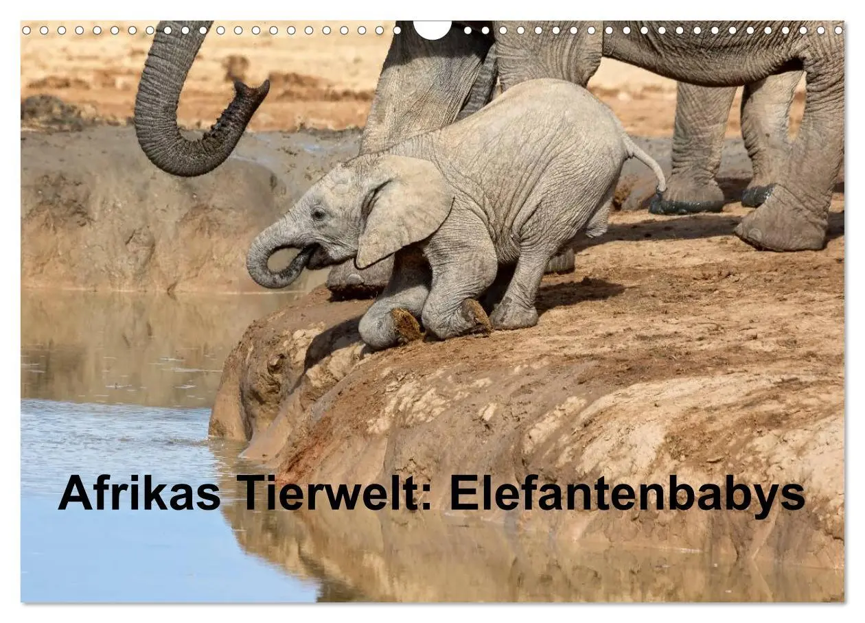 Cover: 9783516220490 | Afrikas Tierwelt: Elefantenbabys (Wandkalender 2026 DIN A3 quer),...