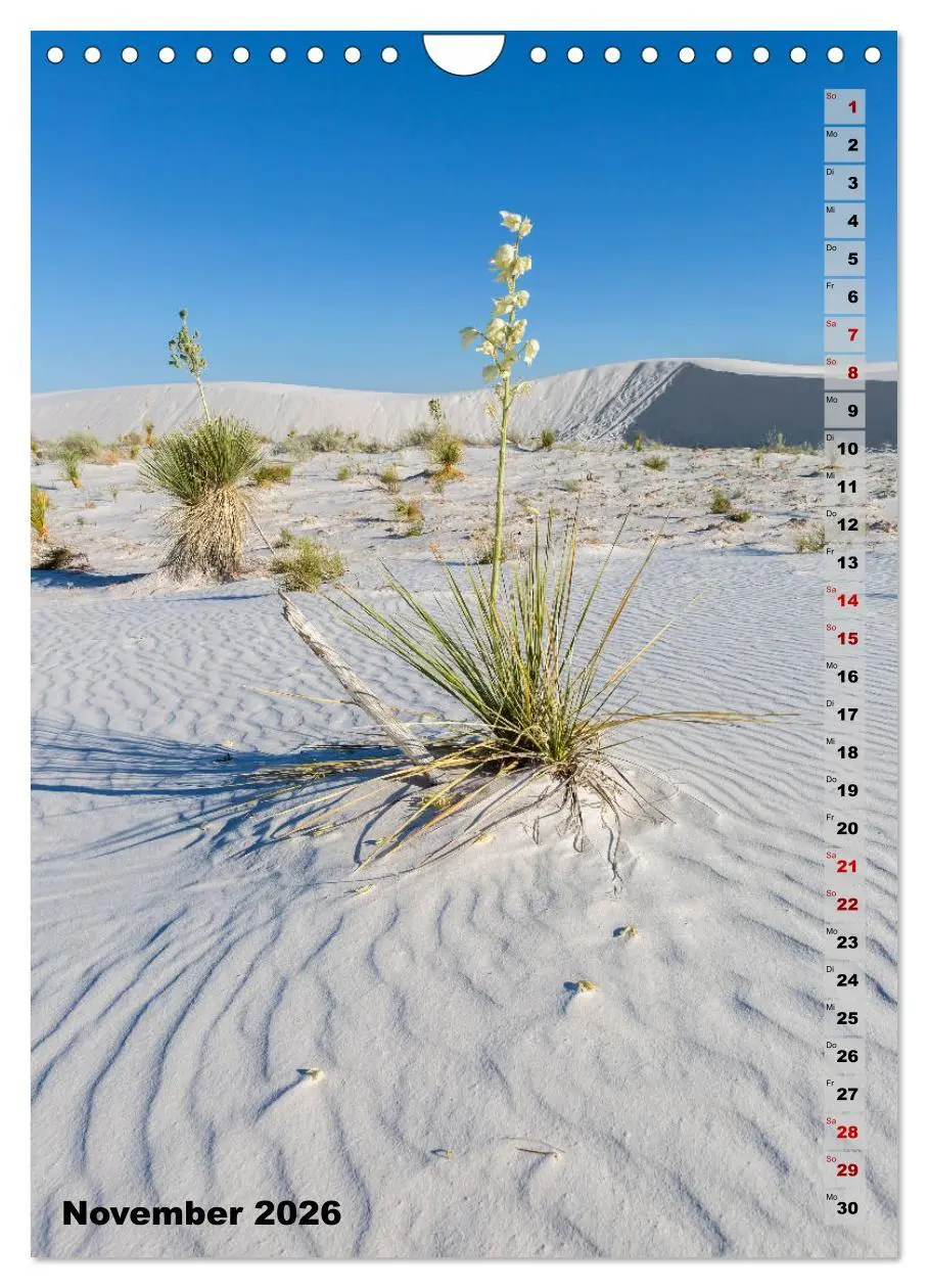 Bild: 9783516390490 | WHITE SANDS NATIONAL MONUMENT Wüstenimpressionen (Wandkalender 2026...