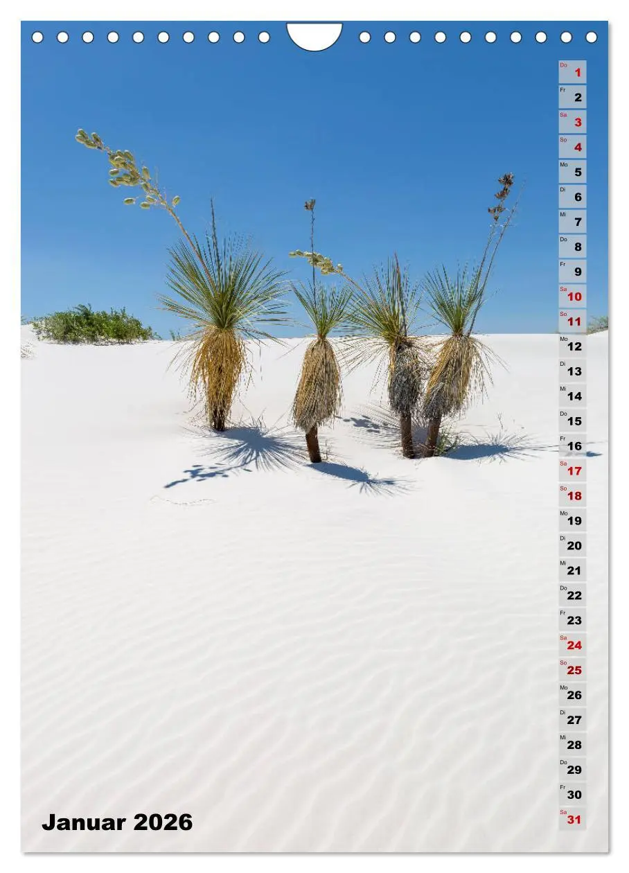 Bild: 9783516390490 | WHITE SANDS NATIONAL MONUMENT Wüstenimpressionen (Wandkalender 2026...