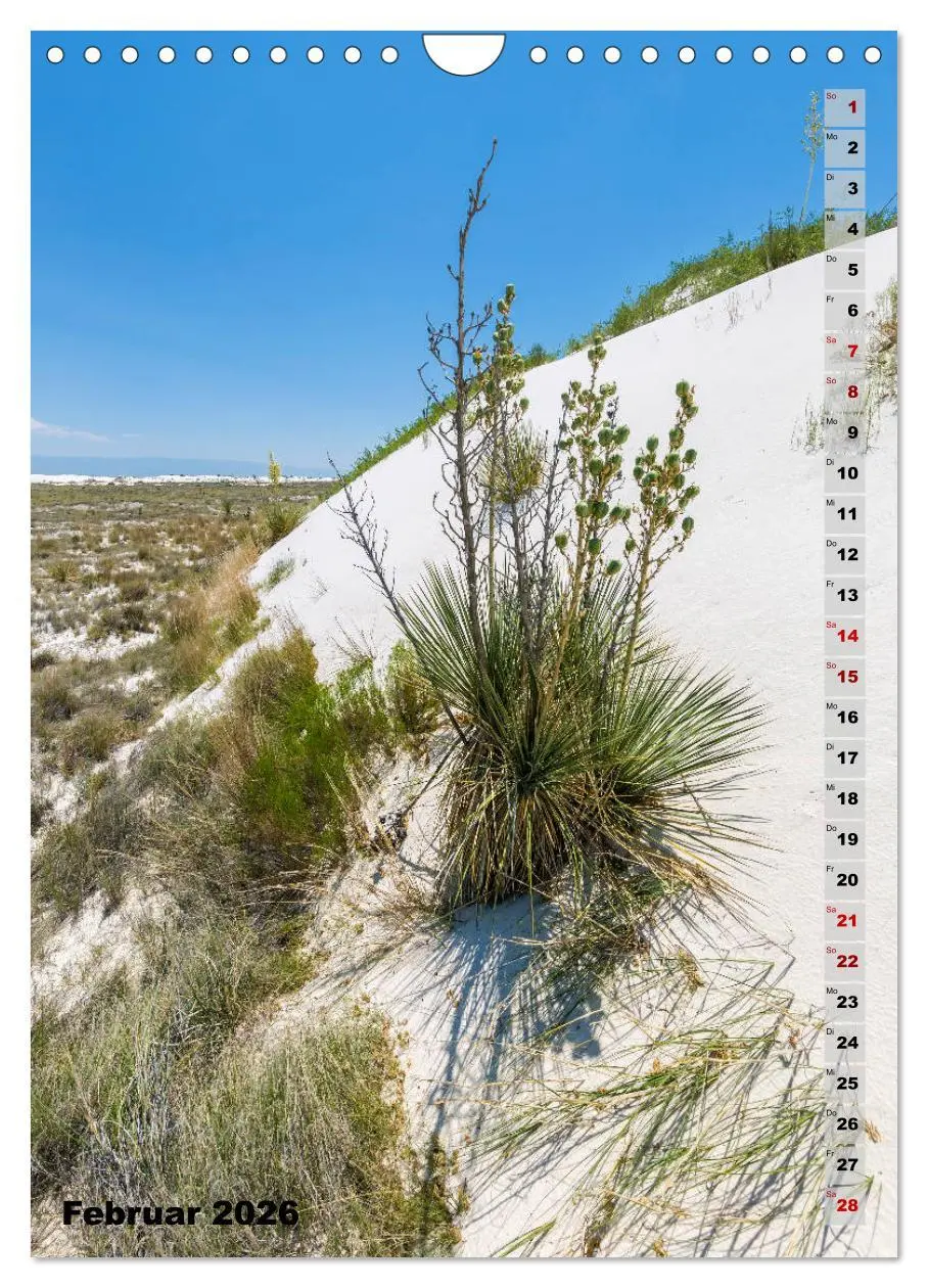 Bild: 9783516390490 | WHITE SANDS NATIONAL MONUMENT Wüstenimpressionen (Wandkalender 2026...