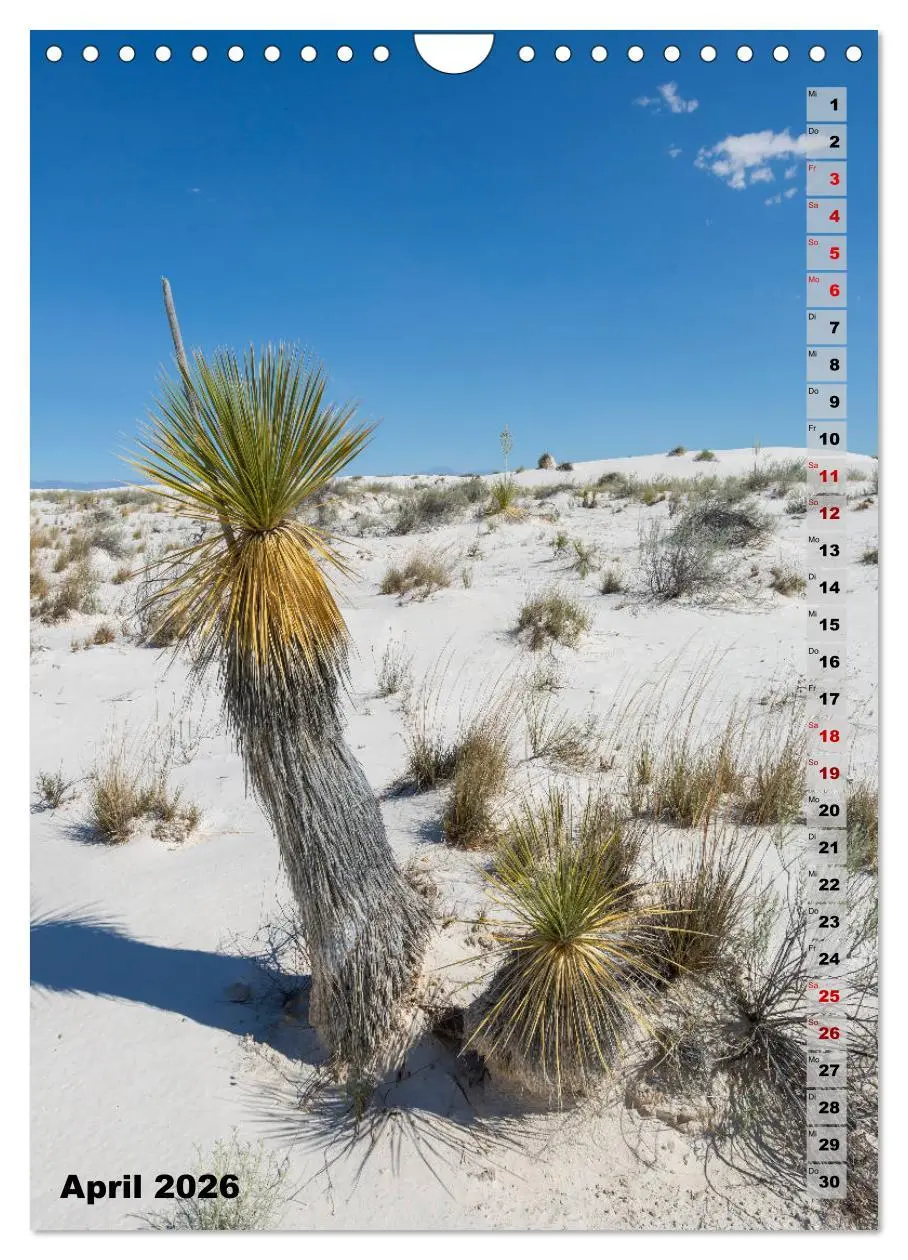 Bild: 9783516390490 | WHITE SANDS NATIONAL MONUMENT Wüstenimpressionen (Wandkalender 2026...