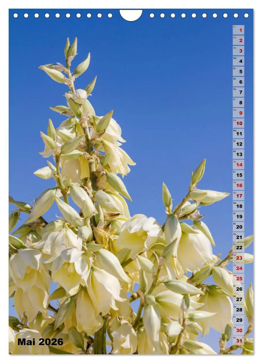 Bild: 9783516390490 | WHITE SANDS NATIONAL MONUMENT Wüstenimpressionen (Wandkalender 2026...