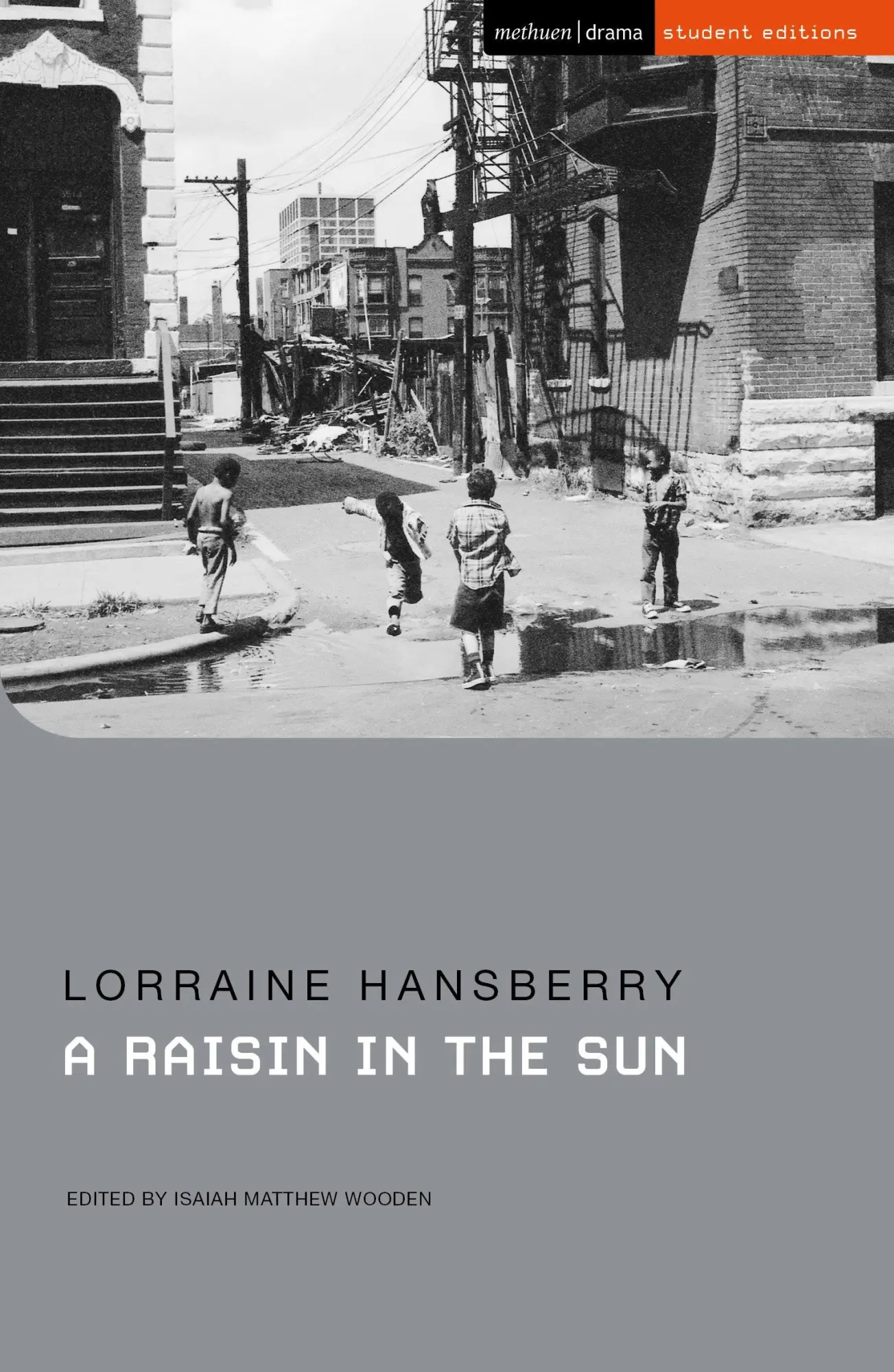 Cover: 9781350470590 | A Raisin in the Sun | Lorraine Hansberry | Taschenbuch | Englisch