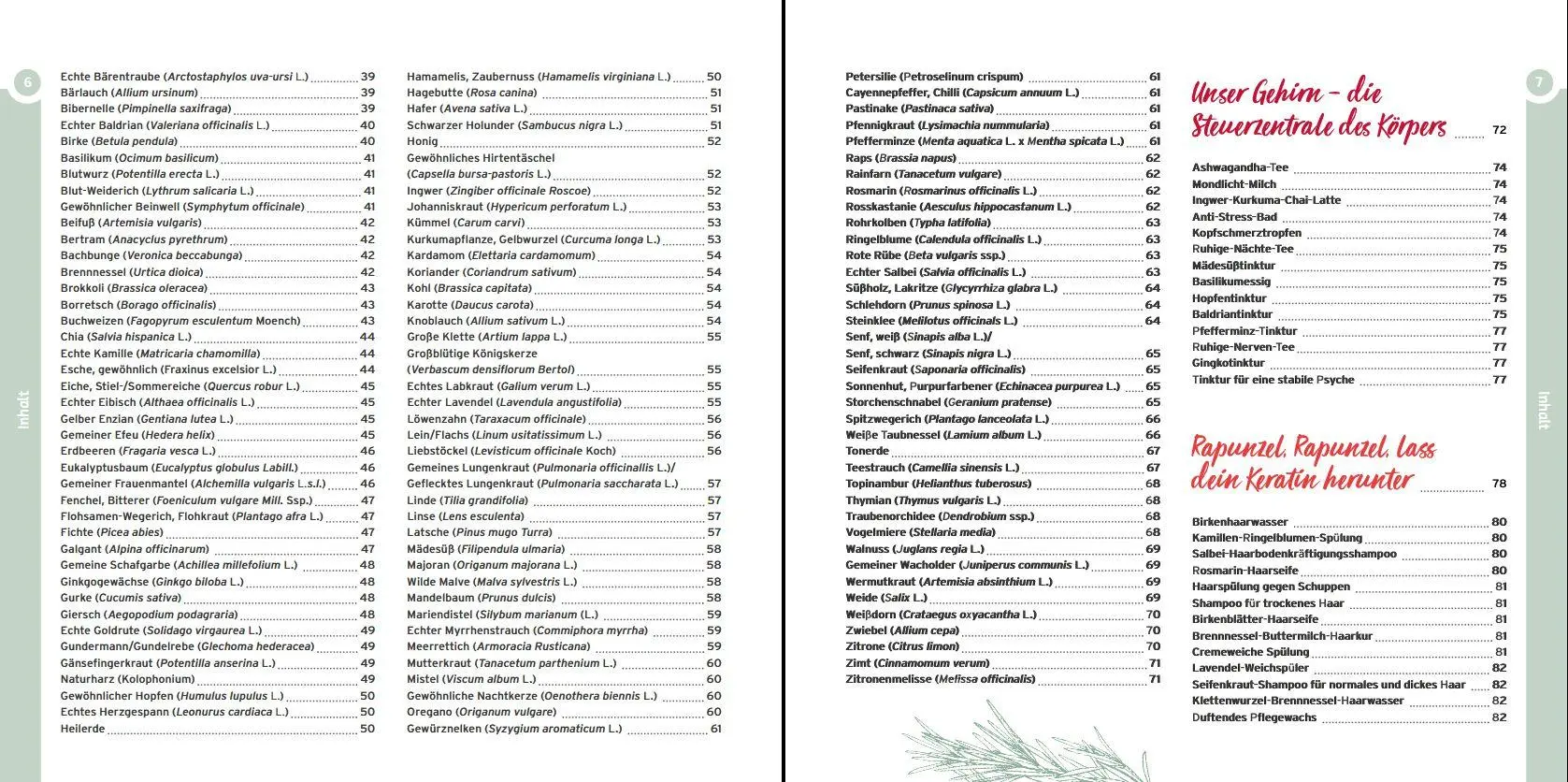 Bild: 9783702020590 | Gewürze und Kräuter in der Naturkosmetik | Justine Strupp | Buch