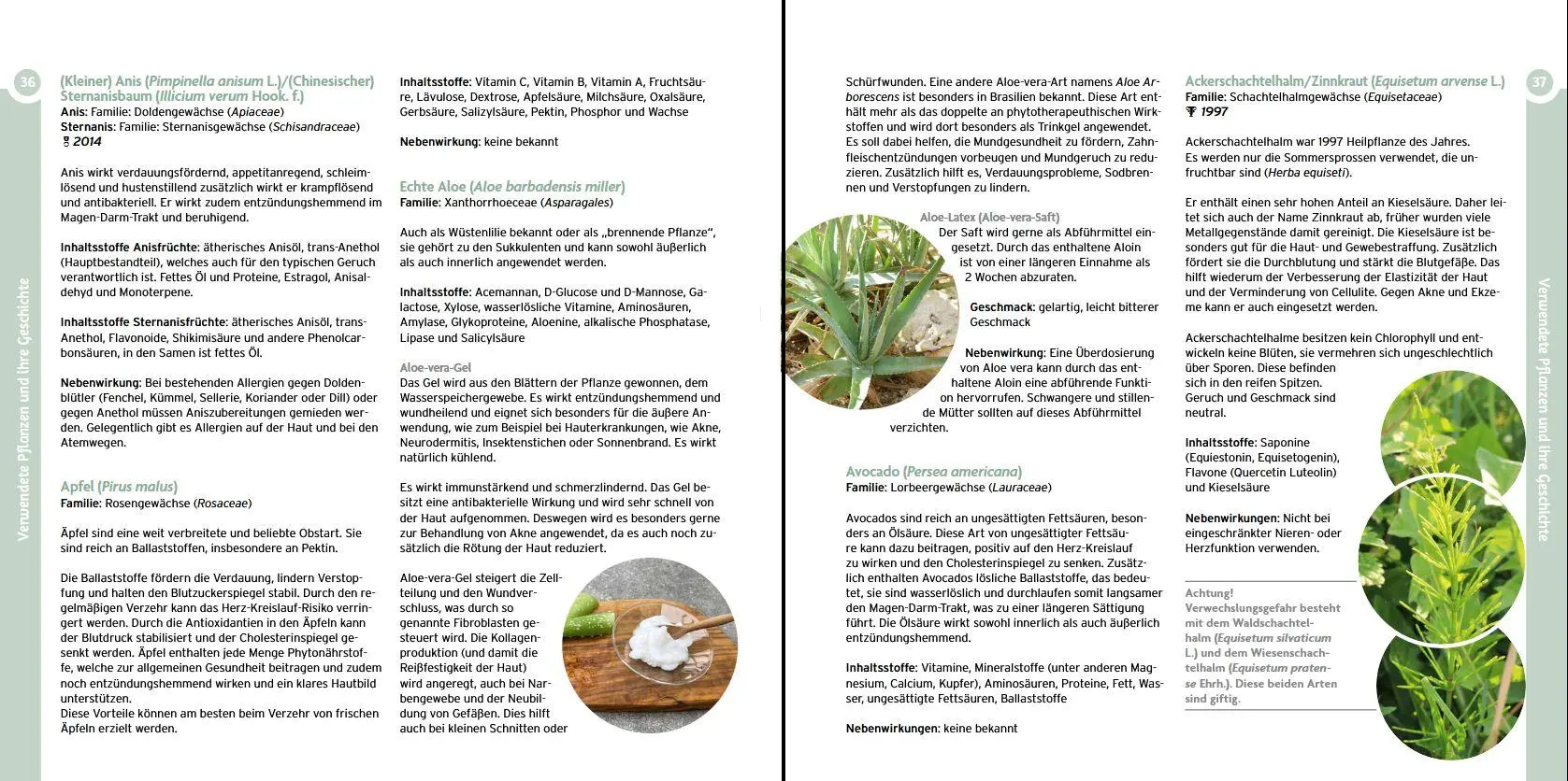 Bild: 9783702020590 | Gewürze und Kräuter in der Naturkosmetik | Justine Strupp | Buch