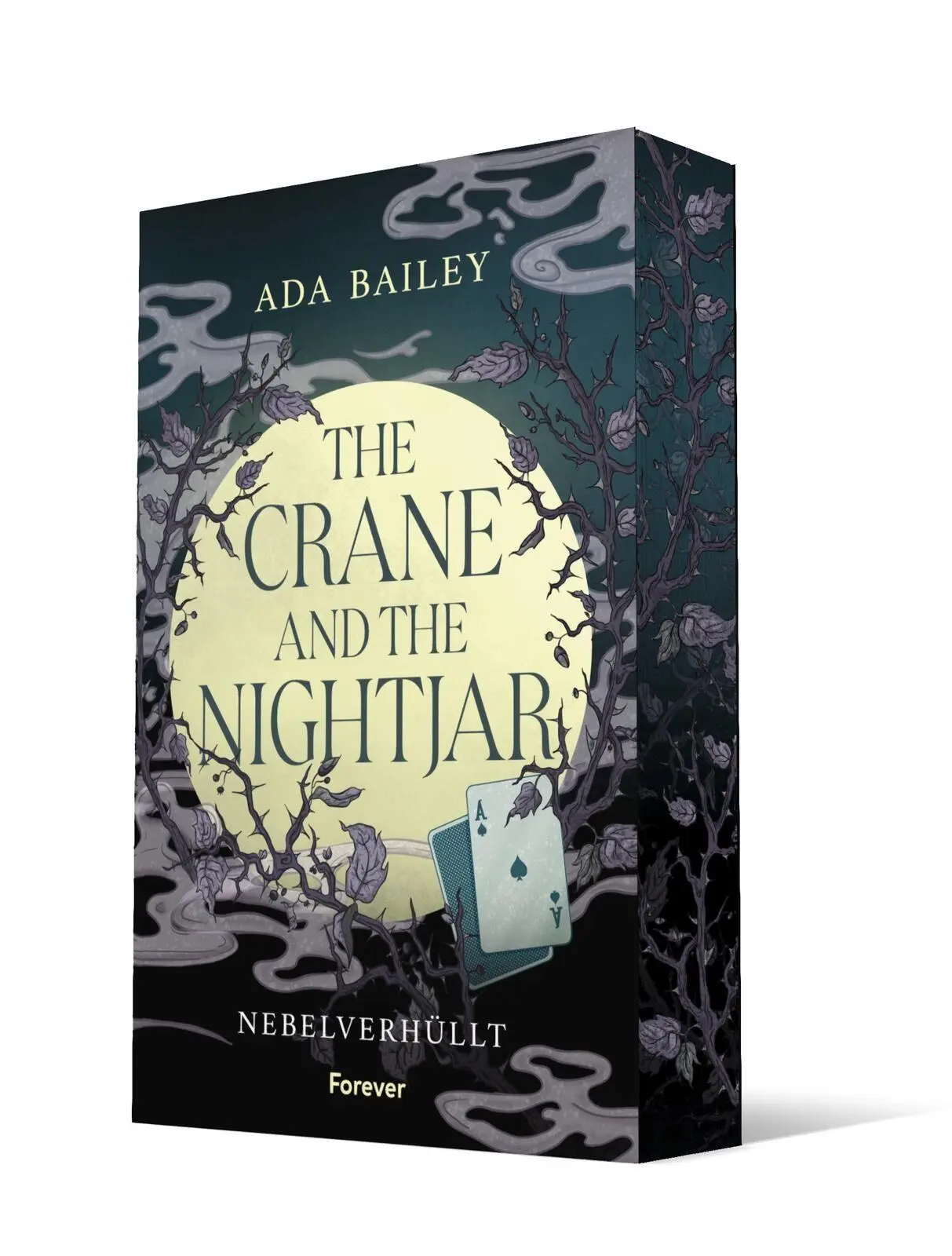 Cover: 9783989780590 | The Crane and the Nightjar | Ada Bailey | Taschenbuch | 400 S. | 2026