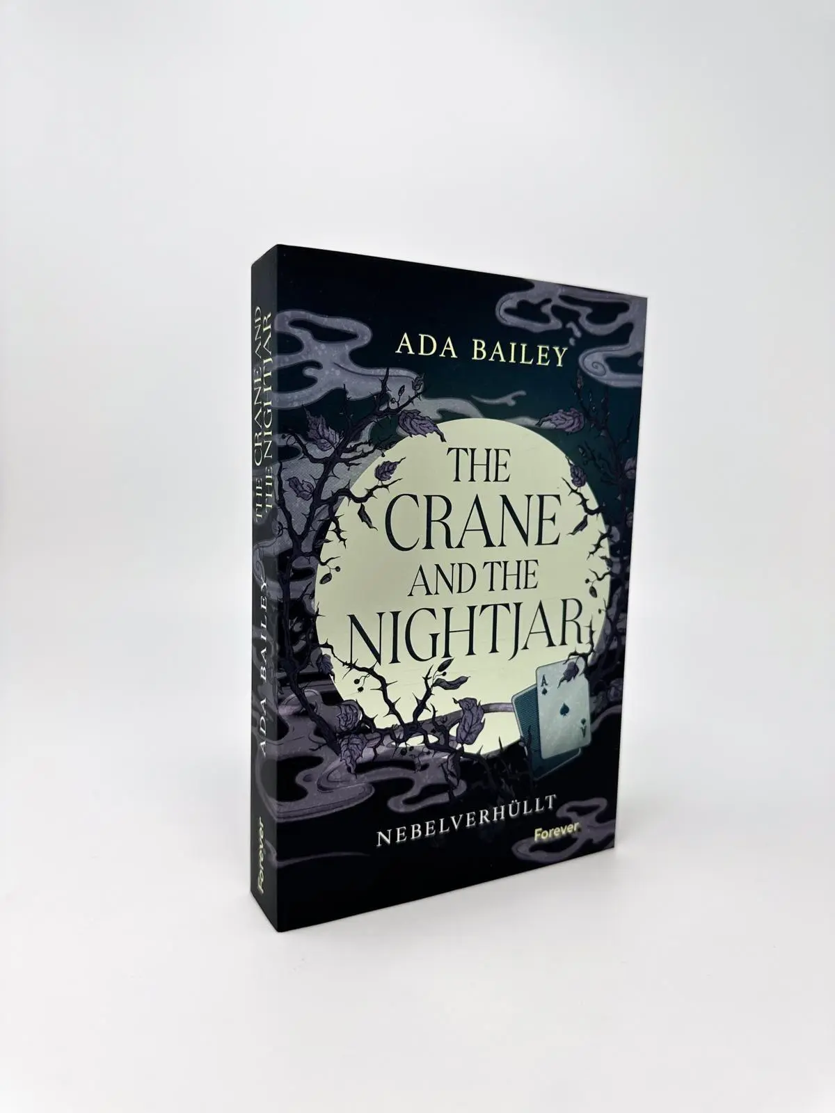 Bild: 9783989780590 | The Crane and the Nightjar | Ada Bailey | Taschenbuch | 400 S. | 2026