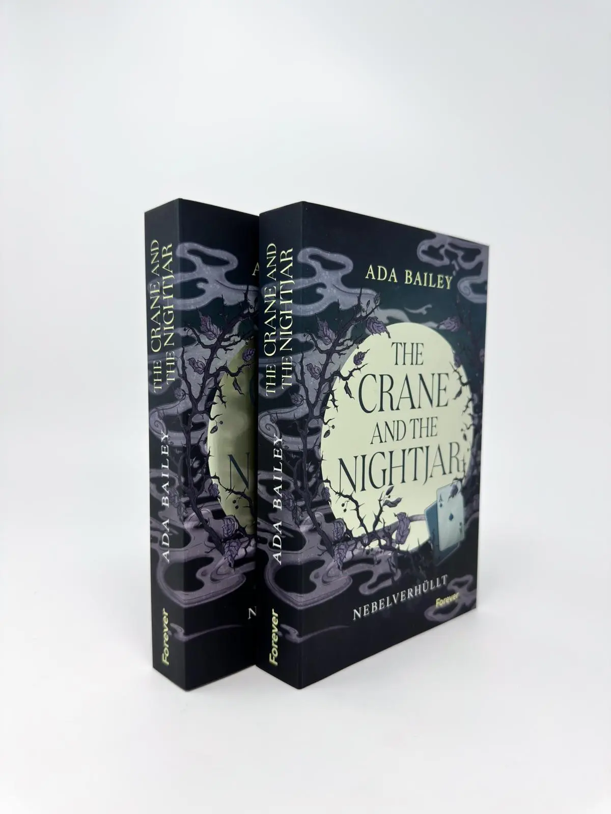 Bild: 9783989780590 | The Crane and the Nightjar | Ada Bailey | Taschenbuch | 400 S. | 2026