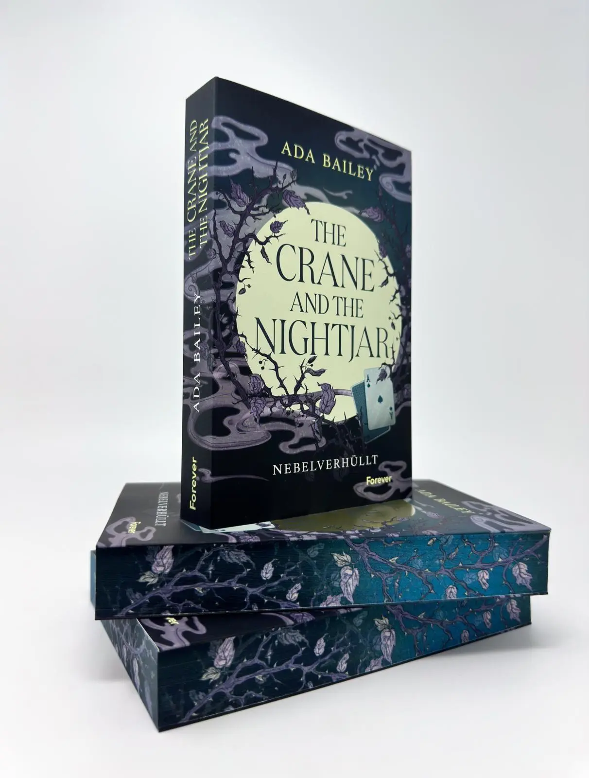 Bild: 9783989780590 | The Crane and the Nightjar | Ada Bailey | Taschenbuch | 400 S. | 2026