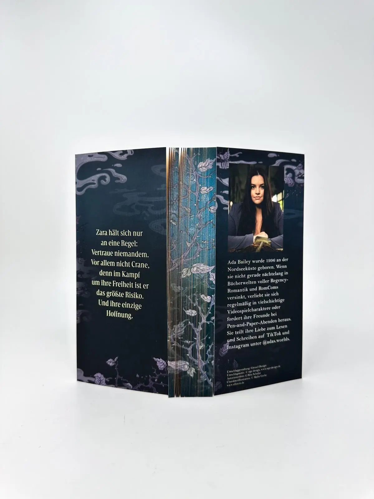 Bild: 9783989780590 | The Crane and the Nightjar | Ada Bailey | Taschenbuch | 400 S. | 2026