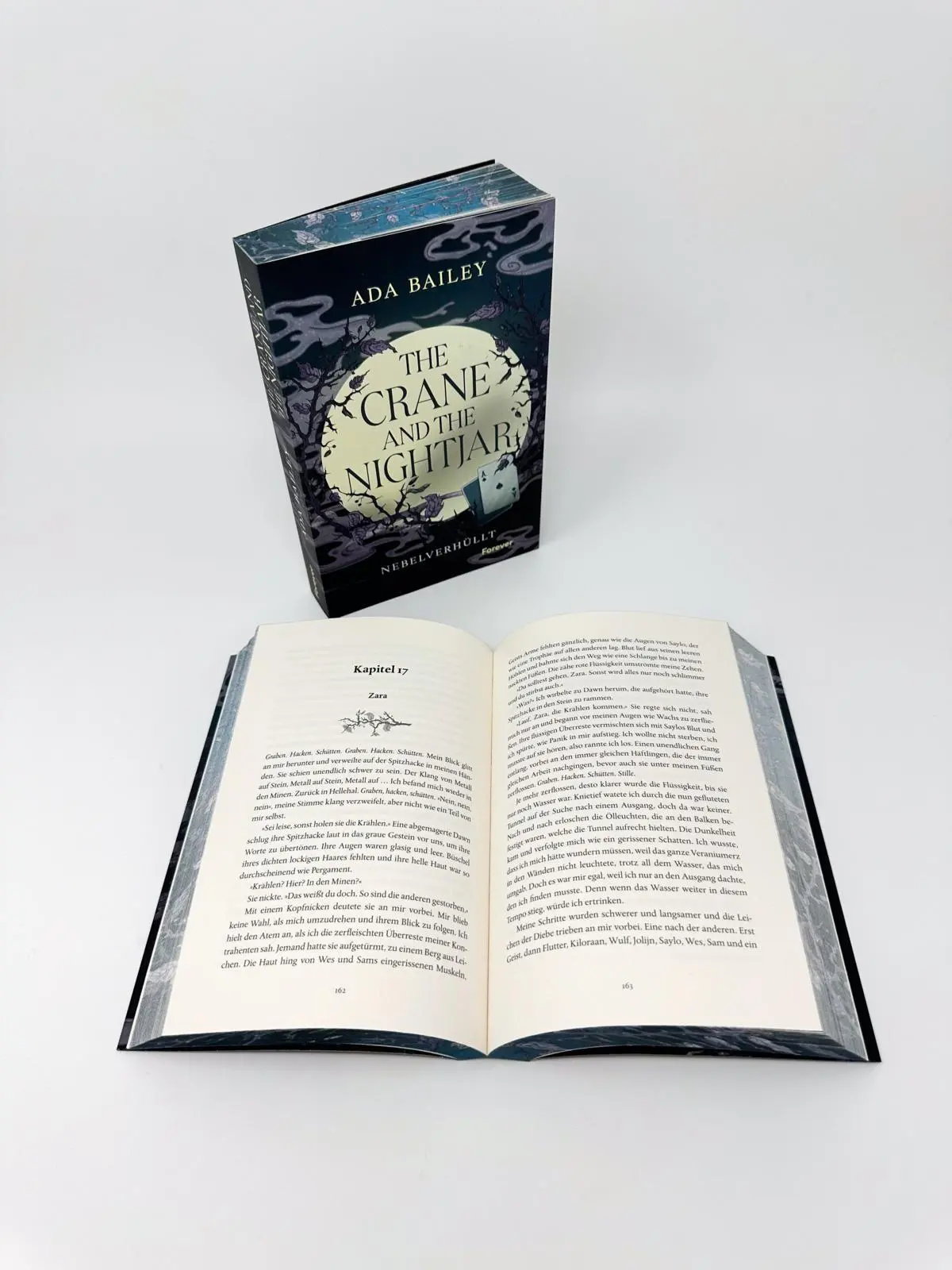 Bild: 9783989780590 | The Crane and the Nightjar | Ada Bailey | Taschenbuch | 400 S. | 2026