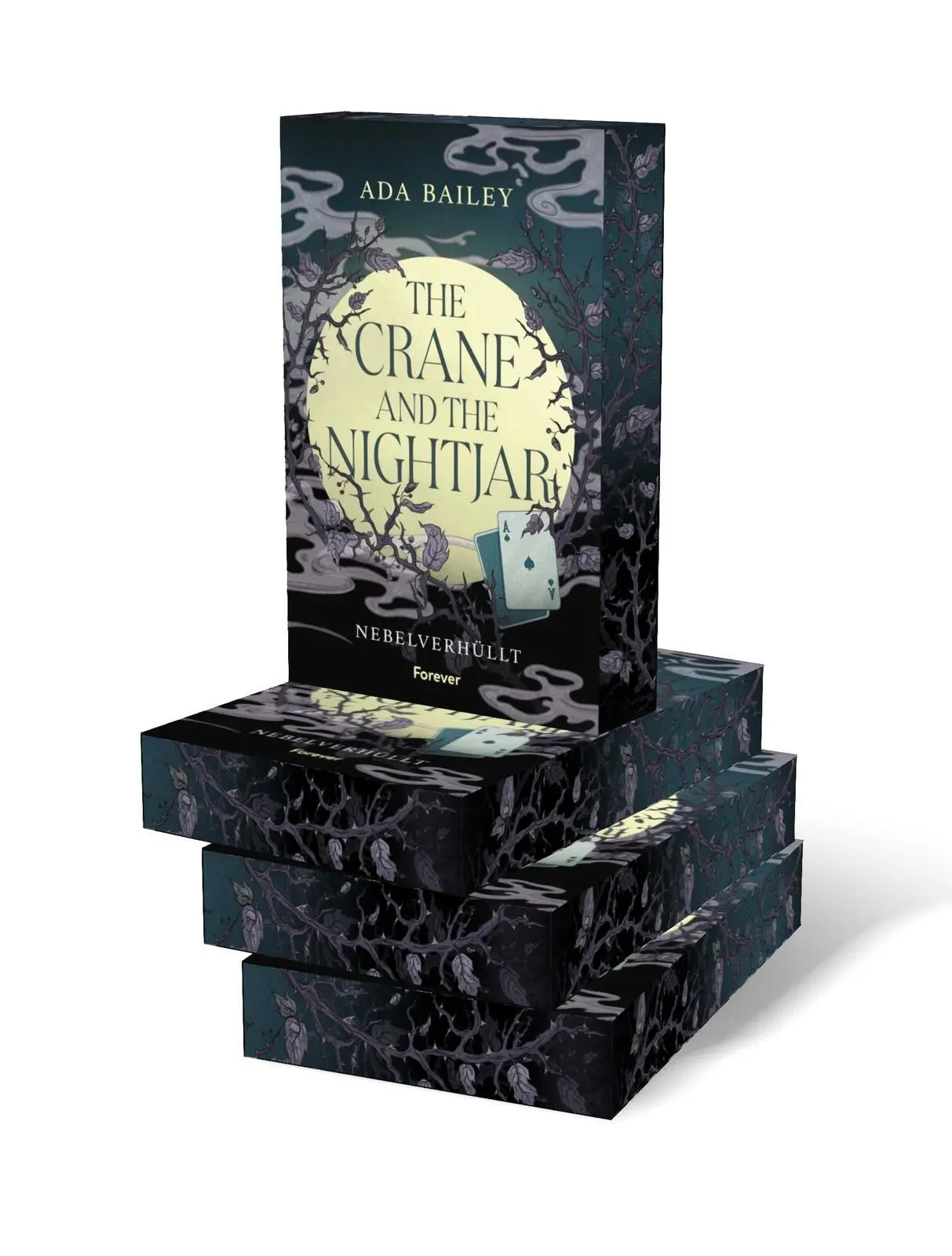Bild: 9783989780590 | The Crane and the Nightjar | Ada Bailey | Taschenbuch | 400 S. | 2026