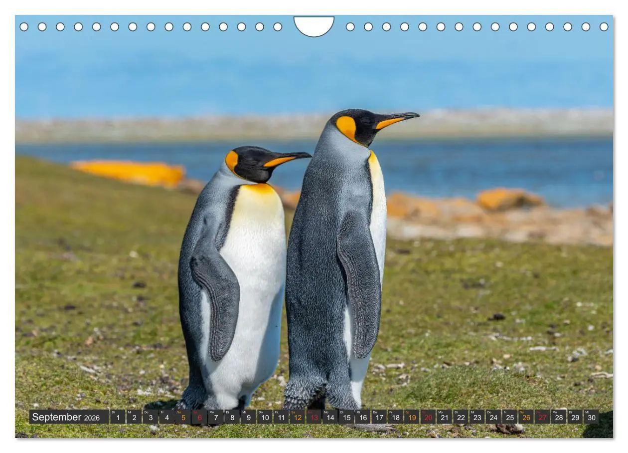 Bild: 9783457660690 | Südamerika - Reise ans Ende der Welt (Wandkalender 2026 DIN A4...