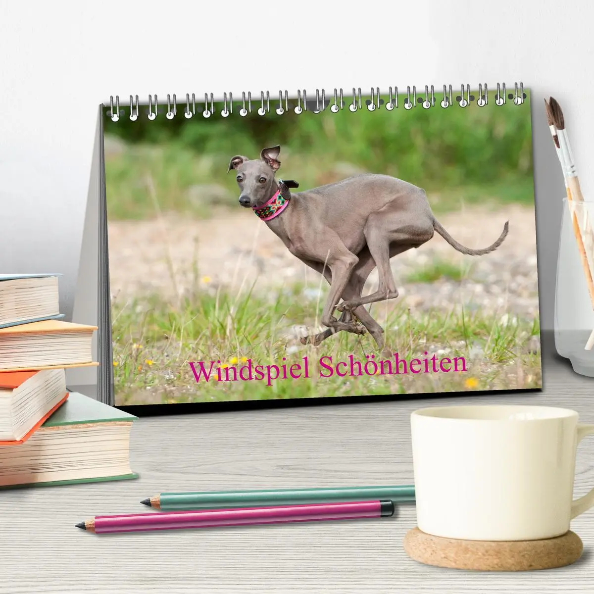 Bild: 9783457730690 | Windspiel Schönheiten (Tischkalender 2026 DIN A5 quer), CALVENDO...