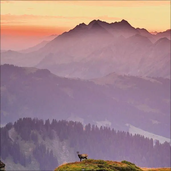 Bild: 9783819300790 | Alpen 2027 | Broschürenkalender mit Ferienterminen. Format: 30 x 30 cm