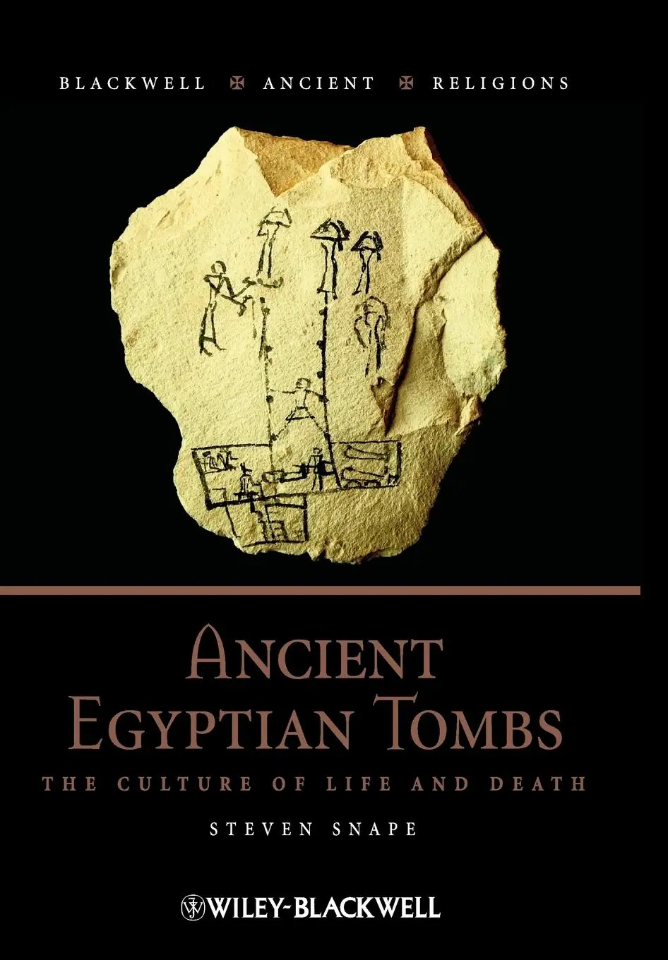 Cover: 9781405120890 | Ancient Egyptian Tombs | Steven Snape | Buch | 306 S. | Englisch
