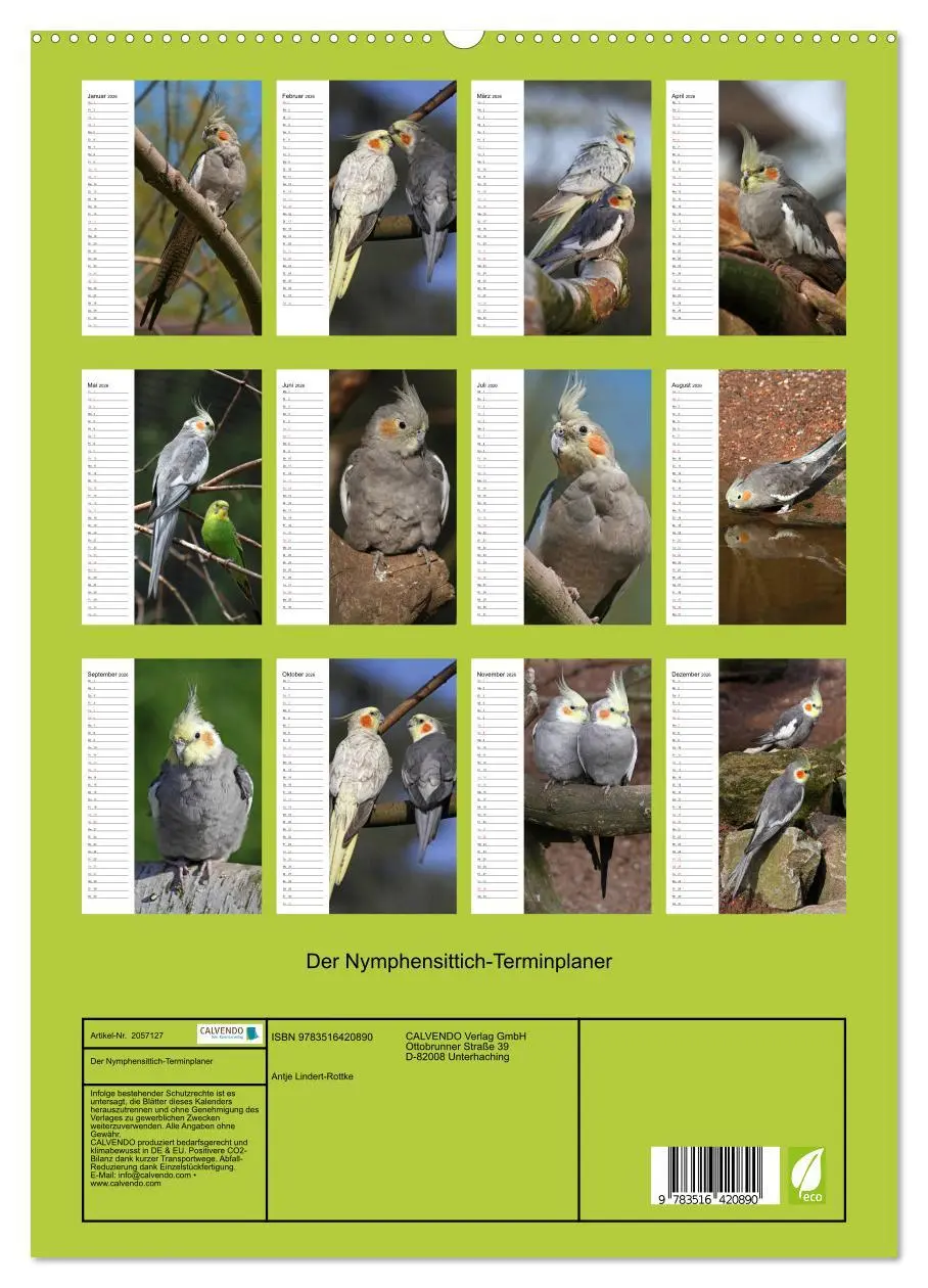 Bild: 9783516420890 | Der Nymphensittich-Terminplaner (hochwertiger Premium Wandkalender...