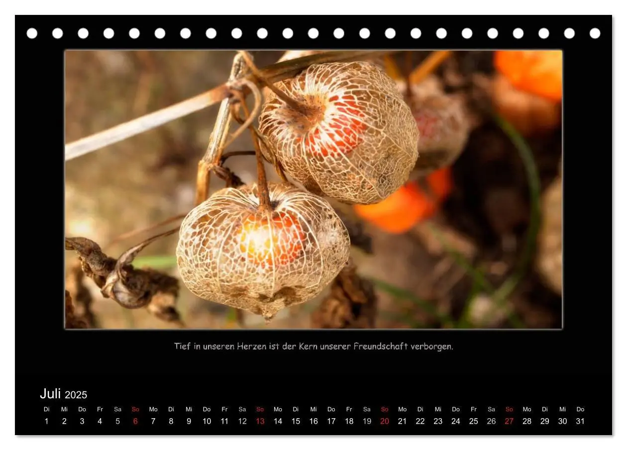 Bild: 9783435780990 | Freundschaft (Tischkalender 2025 DIN A5 quer), CALVENDO Monatskalender