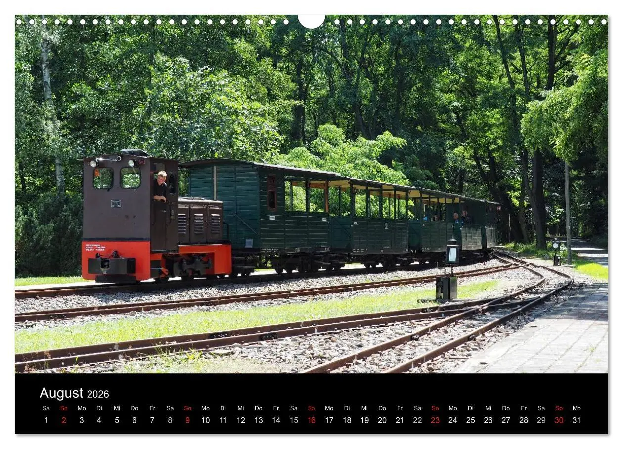 Bild: 9783516030990 | Waldeisenbahn Bad Muskau (Wandkalender 2026 DIN A3 quer), CALVENDO...