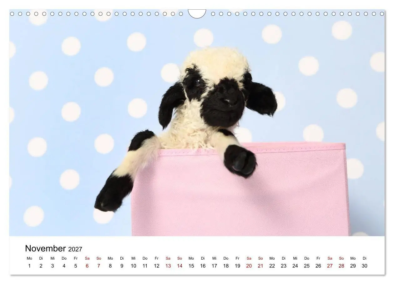 Bild: 9783569740990 | Walliser Schwarznasenschaf Valais Blacknose Sheep (Wandkalender...